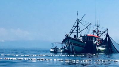 漁政綜合管理解決方案